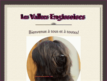 Tablet Screenshot of desvalleesengissoises.com